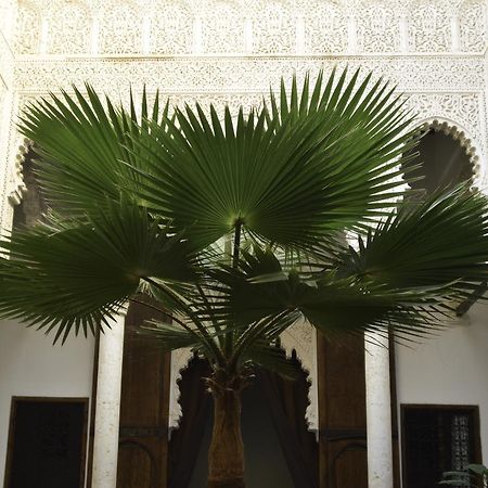 Riad Azahra ราบัต ภายนอก รูปภาพ