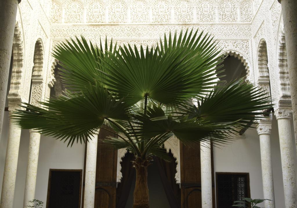 Riad Azahra ราบัต ภายนอก รูปภาพ